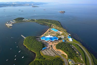 Vladivostok guided tour plus entrance tickets to Submarine S-56
